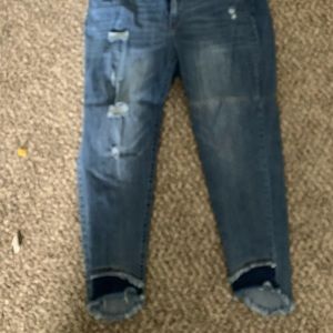 Lane Bryant Distressed Cropped Jeans